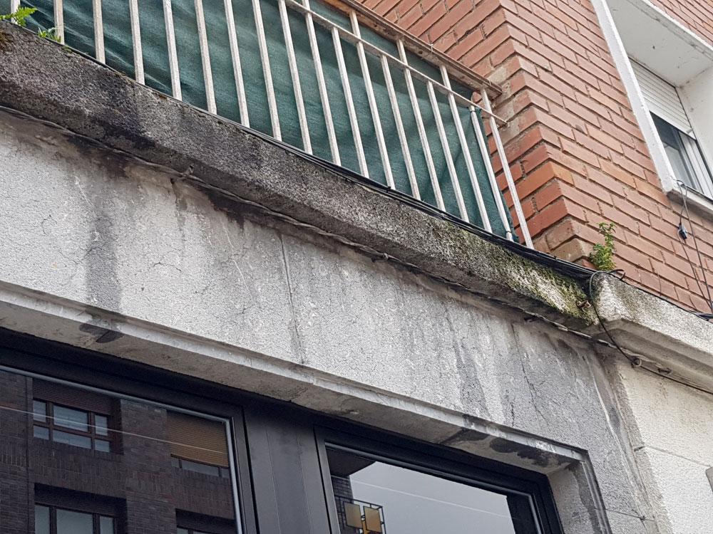 Informe patológico Mungia Bizkaia