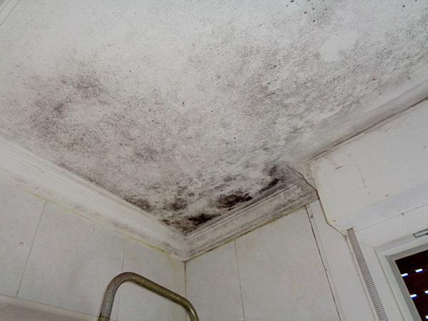 Informes Diagnosis Patologias Euskalite