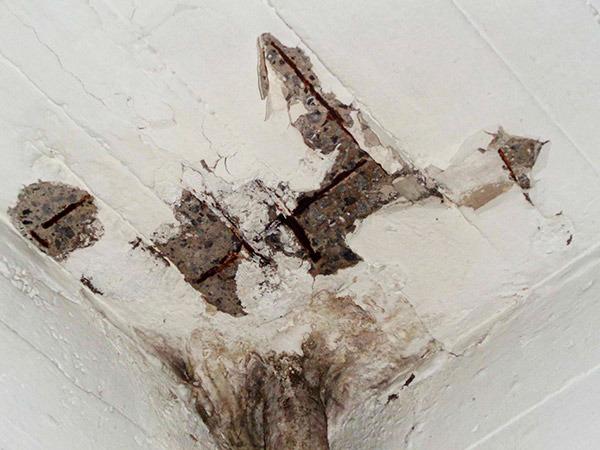 Informes Diagnosis Patologias Euskalite