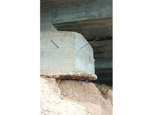 Informes Diagnosis Patologias Euskalite